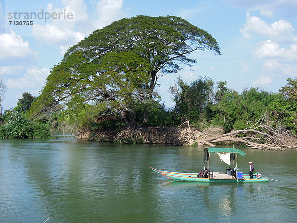 Baum  Boot  fließen  Fluss  Asien  Laos