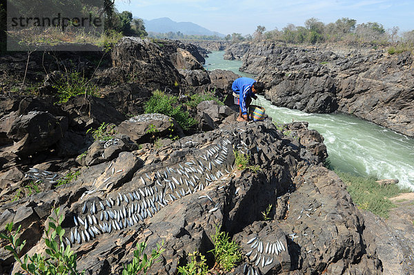 Felsbrocken  Steilküste  fließen  Fluss  angeln  Wildwasser  Schlucht  Asien  Laos