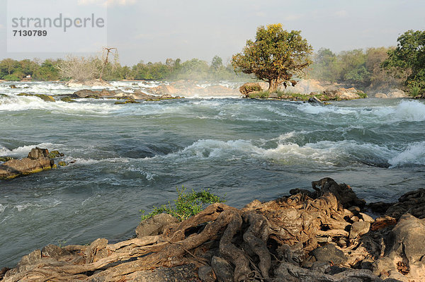 Seifenschaum  Schaum  fließen  Fluss  Wasserfall  Wurzel  Asien  Laos