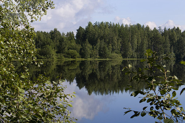 Wasser Urlaub Landschaft Reise Spiegelung Wald See Holz Finnland Nordeuropa Skandinavien