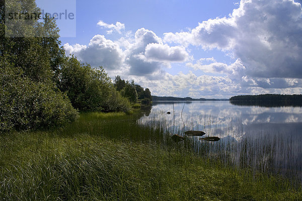 Wasser Urlaub Wolke Landschaft Reise Spiegelung Wald See Holz Finnland Nordeuropa Skandinavien Wetter