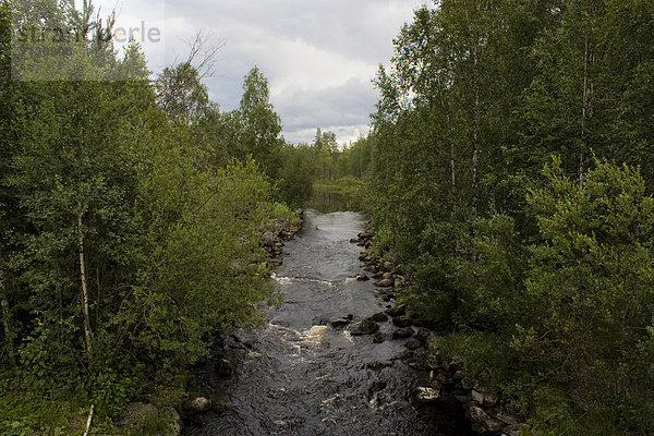 Wasser Urlaub Baum Landschaft Wald Fluss Holz Finnland Nordeuropa Skandinavien