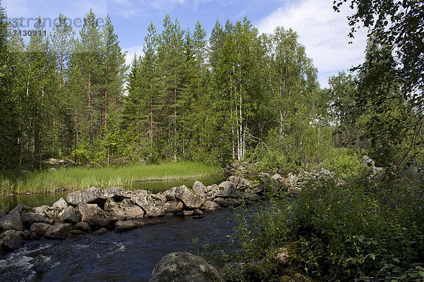 Wasser Urlaub Baum Landschaft Reise Wald Fluss Holz Finnland Nordeuropa Skandinavien
