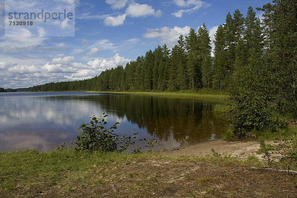 Urlaub Baum Reise Spiegelung Wald See Holz Finnland Nordeuropa Skandinavien