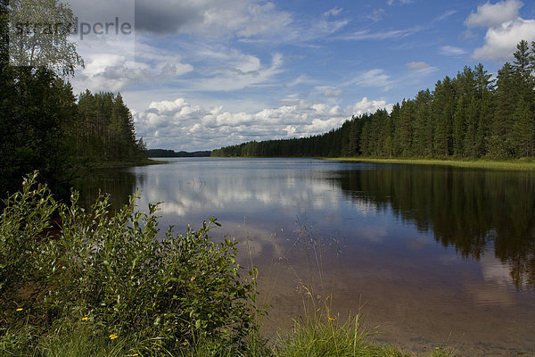 Urlaub Baum Spiegelung Wald See Holz Finnland Nordeuropa Skandinavien