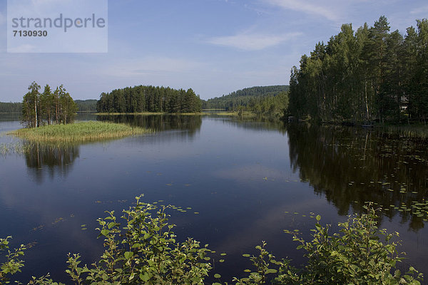Urlaub Landschaft Spiegelung Wald See Holz Insel Finnland Nordeuropa Skandinavien