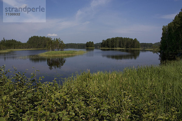 Urlaub Landschaft Spiegelung Wald See Holz Insel Finnland Nordeuropa Skandinavien