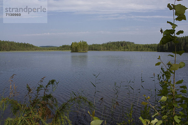 Wasser Urlaub Reise Wald See Holz Insel Finnland Nordeuropa Skandinavien