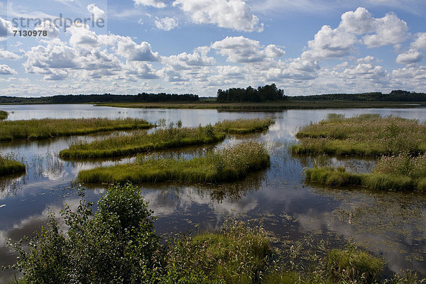 Naturschutzgebiet  Wasser  Urlaub  Landschaft  Reise  Spiegelung  See  Biotop  Finnland  Nordeuropa  Skandinavien  Feuchtgebiet