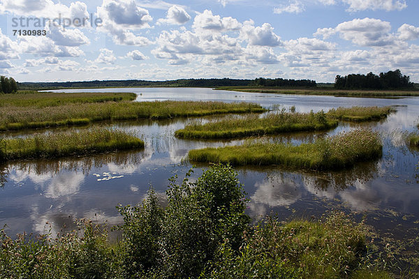Naturschutzgebiet  Wasser  Urlaub  Landschaft  Reise  Spiegelung  See  Biotop  Finnland  Nordeuropa  Skandinavien  Feuchtgebiet