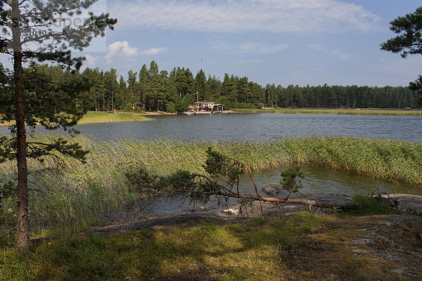 Wasserrand Wasser Urlaub Wohnhaus Strand Reise Wald See Holz Wochenende Finnland Nordeuropa Skandinavien