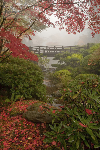 Vereinigte Staaten von Amerika  USA  Amerika  Blume  Brücke  Querformat  Garten  rot  Japanischer Garten  Ahorn  Oregon
