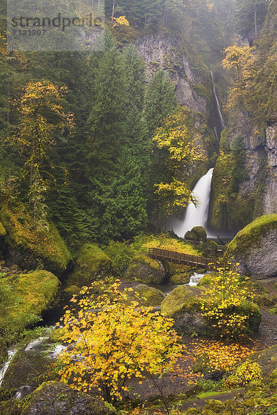 Vereinigte Staaten von Amerika  USA  Wasser  Amerika  Ereignis  Bach  Wasserfall  Schlucht  Basalt  Columbia River  Oregon