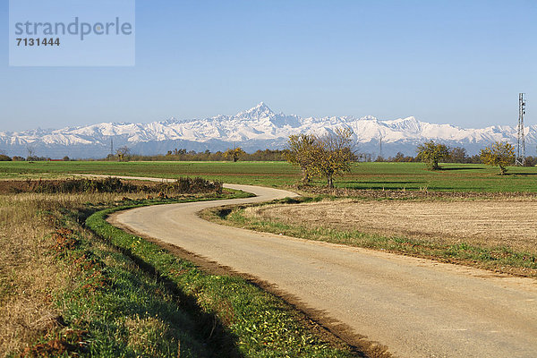 Landschaftlich schön  landschaftlich reizvoll  Europa  Baum  Straße  Feld  Alpen  Italien