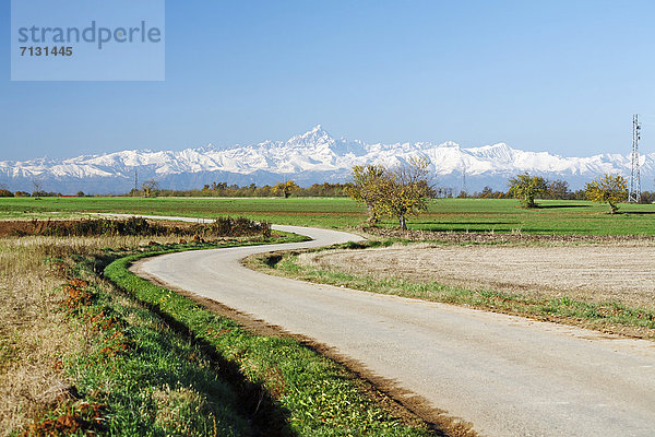 Landschaftlich schön  landschaftlich reizvoll  Europa  Baum  Straße  Feld  Alpen  Italien