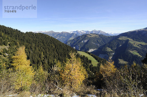 Farbaufnahme Farbe Herbst Kanton Graubünden Schweiz