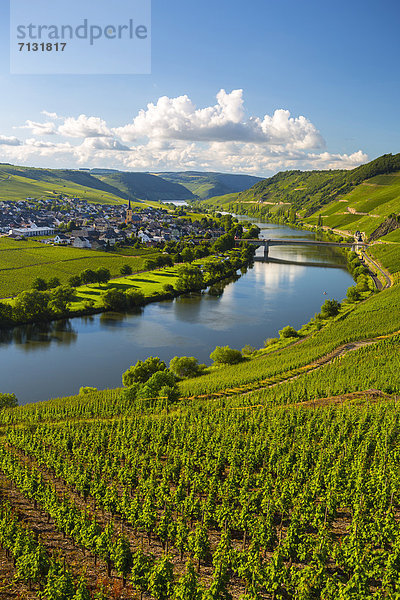 Biegung  Biegungen  Kurve  Kurven  gewölbt  Bogen  gebogen  Europa  Wolke  Wein  Landwirtschaft  Reise  Natur  Fluss  Dorf  Weinberg  Deutschland  Tourismus  Trittenheim