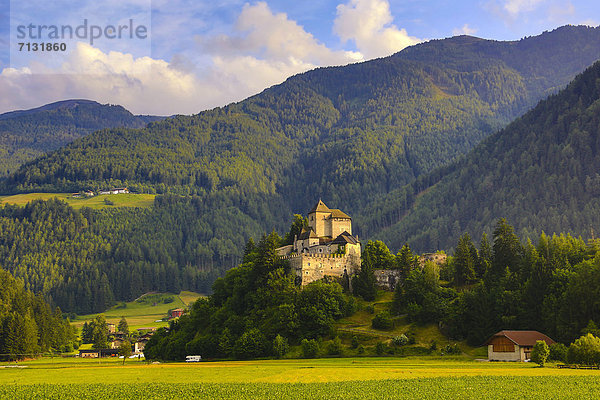 Europa Palast Schloß Schlösser Landschaft Tal Reise Architektur Geschichte Holz Italien Tourismus