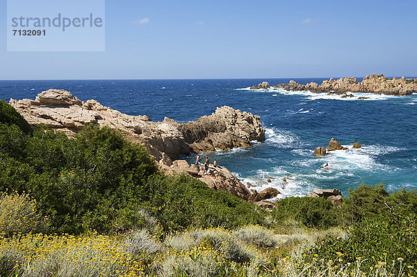 Landschaftlich schön landschaftlich reizvoll Europa Tag europäisch Küste Meer Natur Insel Sardinien Capo Testa Italien Mittelmeer