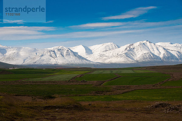 Landschaftlich schön  landschaftlich reizvoll  Europa  Berg  Natur  Island  Schnee