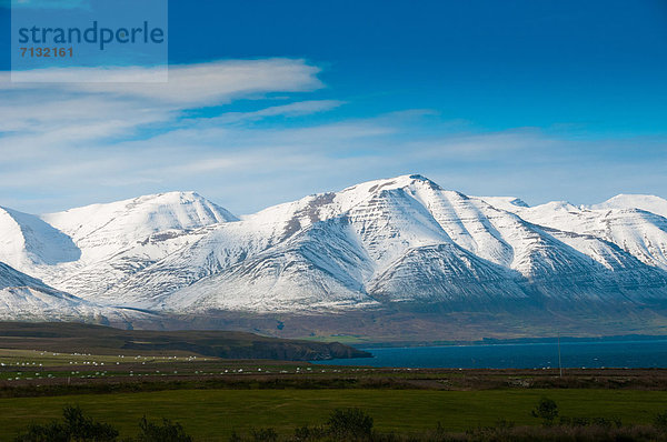 Landschaftlich schön  landschaftlich reizvoll  Europa  Berg  Natur  Island  Schnee