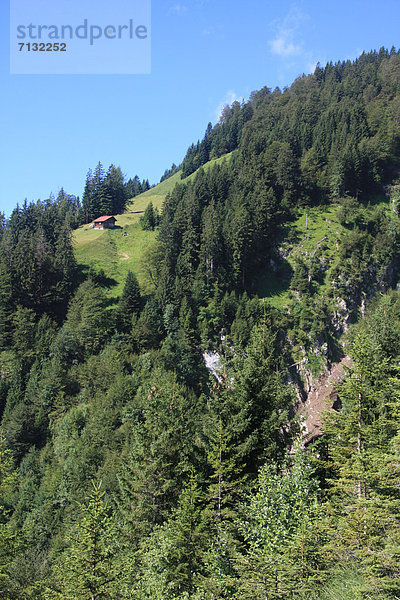 Hütte Europa Baum Wiese Bern Berner Oberland Schweiz