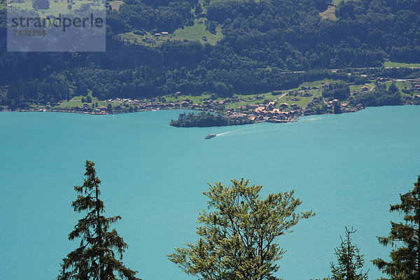 Europa See Boot Schiff Tanne Bern Berner Oberland Iseltwald Schweiz