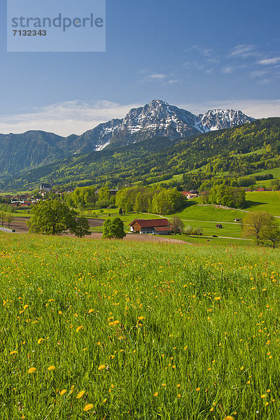 Europa  Landwirtschaft  Dorf  Wiese  Bayern  Deutschland  Oberbayern