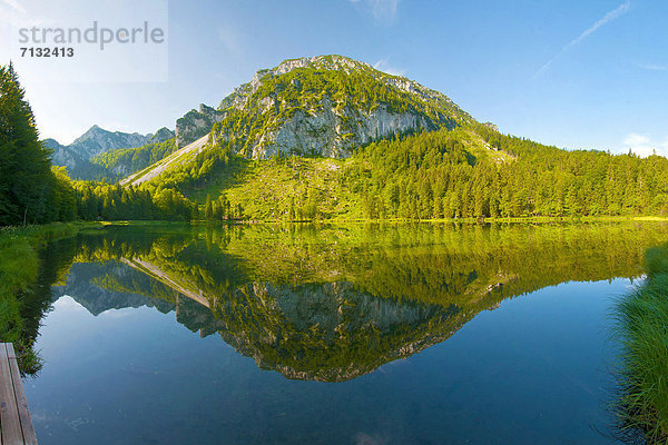 Wasserrand  Farbaufnahme  Farbe  Wasser  Europa  Berg  ruhen  Ruhe  Spiegelung  Stille  Alpen  Gras  Bayern  Chiemgau  Schilf  Rest  Überrest  Oberbayern