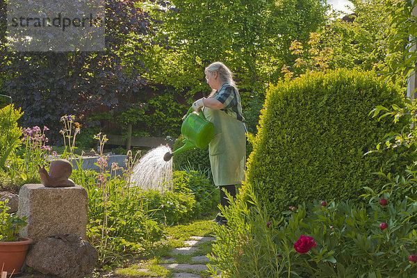 Freizeit  eingießen  gießen  Frau  arbeiten  Blume  Beruf  Fürsorglichkeit  Garten  Gartenbau  Hobby  Gärtner  Wartung  warten