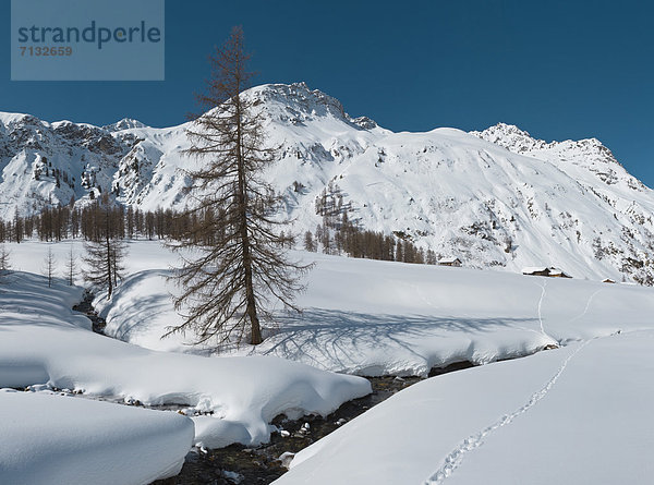 Europa  Berg  Winter  Kanton Graubünden  Davos  Schnee  Schweiz