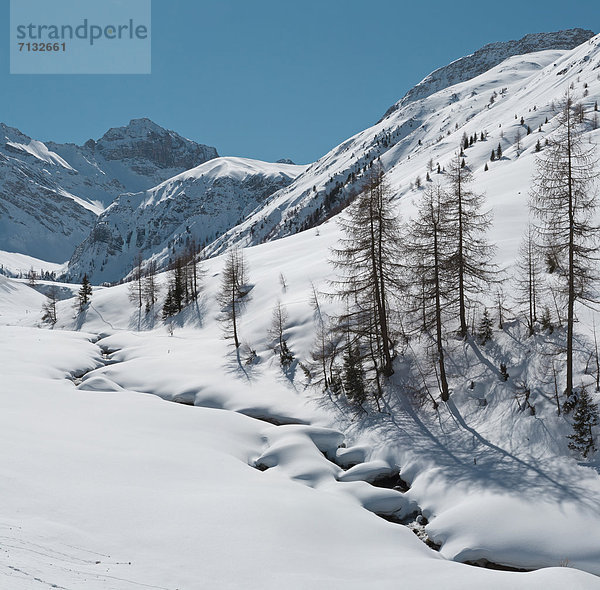 Europa  Berg  Winter  Bach  Kanton Graubünden  Davos  Schnee  Schweiz