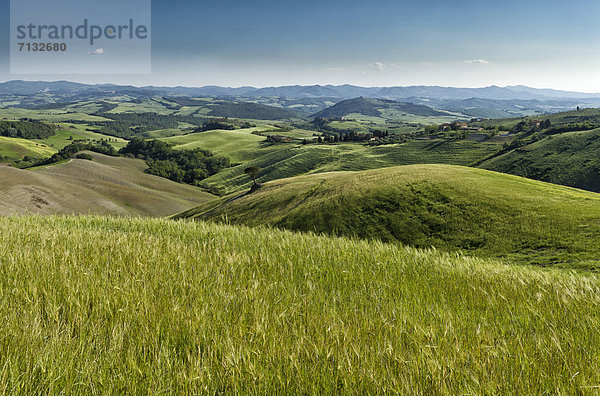 Europa  Hügel  grün  blau  Wiese  Toskana  Italien  Volterra