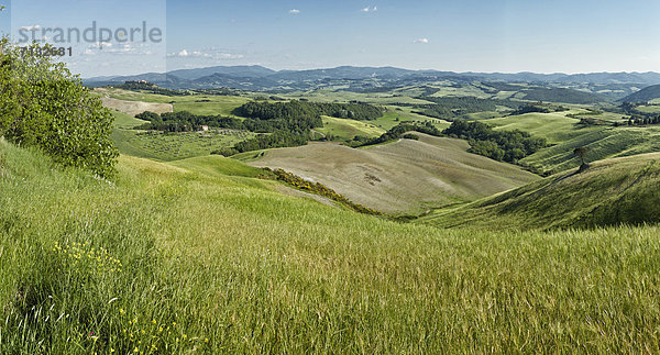 Europa  Hügel  grün  blau  Wiese  Toskana  Italien  Volterra