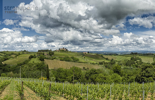 Landschaftlich schön  landschaftlich reizvoll  Europa  Wolke  grün  Feld  Toskana  Italien  San Gimignano