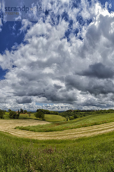 Landschaftlich schön  landschaftlich reizvoll  Europa  Wolke  Hügel  grün  Feld  Toskana  Italien