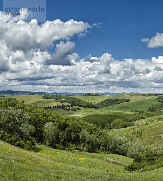 Landschaftlich schön  landschaftlich reizvoll  Europa  Wolke  Hügel  grün  Feld  Toskana  Buonconvento  Italien