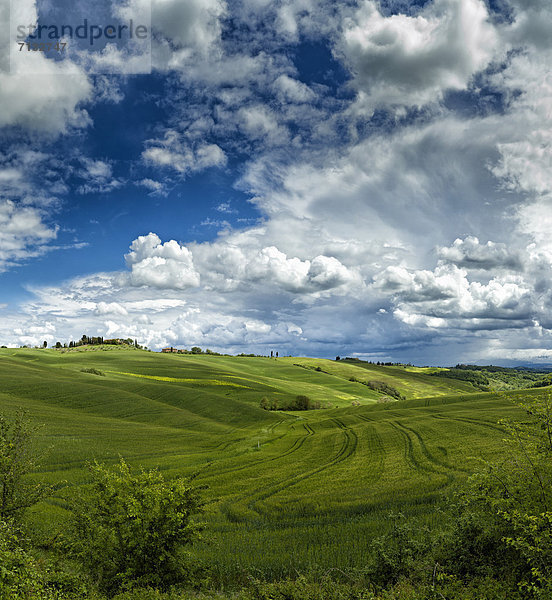 Landschaftlich schön  landschaftlich reizvoll  Europa  Wolke  Hügel  grün  Feld  Toskana  Buonconvento  Italien