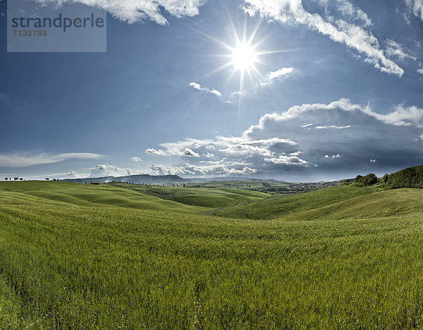 Landschaftlich schön  landschaftlich reizvoll  Europa  Wolke  Hügel  grün  Feld  Toskana  Italien