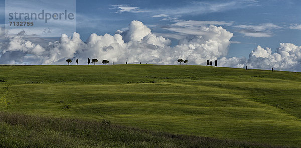 Landschaftlich schön  landschaftlich reizvoll  Europa  Wolke  Hügel  grün  Feld  Toskana  Italien