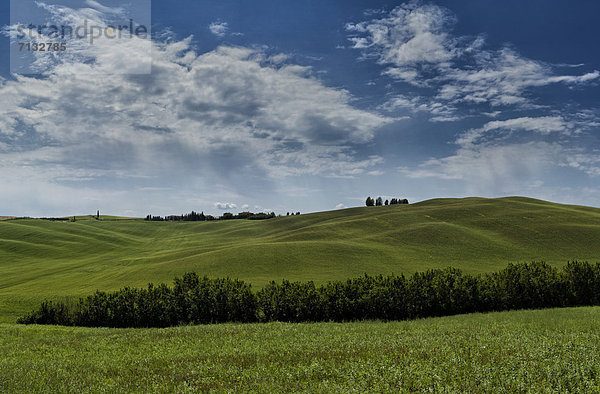 Landschaftlich schön  landschaftlich reizvoll  Europa  Hügel  grün  Feld  Toskana  Italien