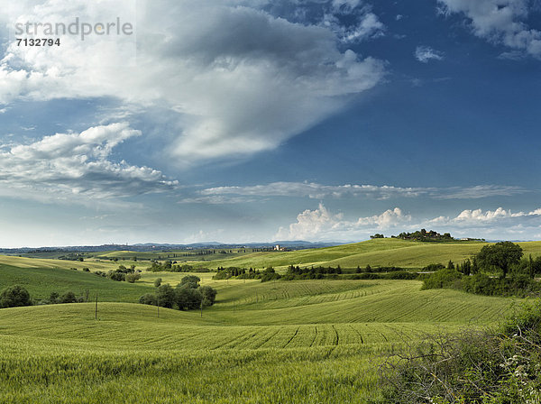 Landschaftlich schön  landschaftlich reizvoll  Europa  Hügel  grün  Feld  Toskana  Italien