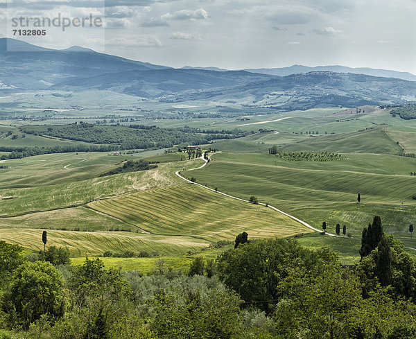 Landschaftlich schön  landschaftlich reizvoll  Europa  Landwirtschaft  Feld  Toskana  Italien  Pienza