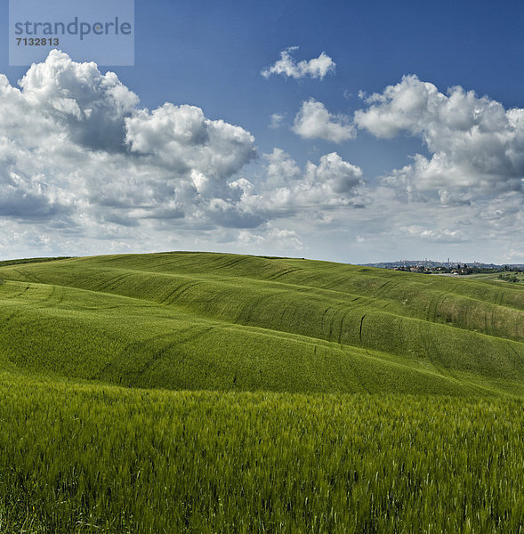 Landschaftlich schön  landschaftlich reizvoll  Europa  Landwirtschaft  Feld  Toskana  Italien