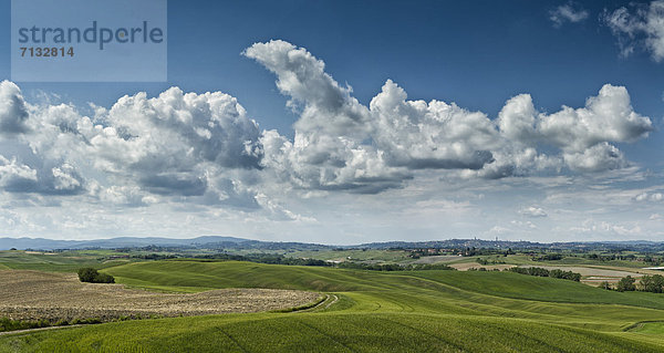 Landschaftlich schön  landschaftlich reizvoll  Europa  Landwirtschaft  Feld  Toskana  Italien