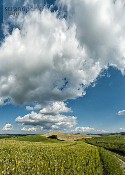 Landschaftlich schön  landschaftlich reizvoll  Europa  Wolke  Landwirtschaft  Feld  Toskana  Italien