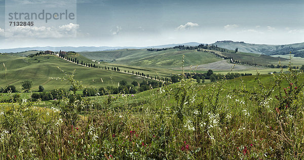 Landschaftlich schön  landschaftlich reizvoll  Europa  Hügel  grün  Feld  Toskana  Italien