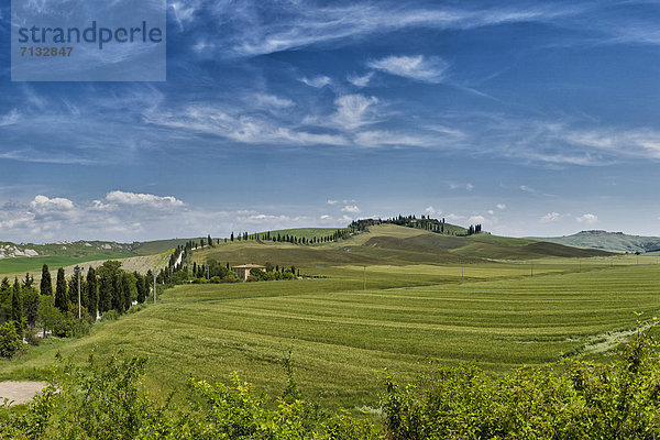 Landschaftlich schön  landschaftlich reizvoll  Europa  Hügel  grün  Feld  Toskana  Italien