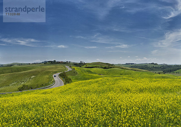 Landschaftlich schön  landschaftlich reizvoll  Europa  Hügel  grün  Feld  Toskana  Italien