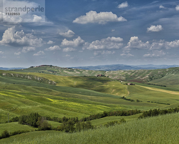 Landschaftlich schön  landschaftlich reizvoll  Europa  Hügel  grün  Feld  Toskana  Italien